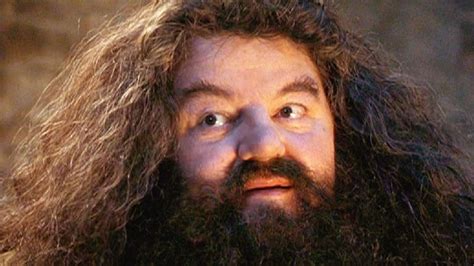 Harry Potter: Hagrid's Pets And Creature Friends Ranked By Likability