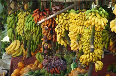 Top Varieties of Bananas in India: Best List, Banan Types for Higher ...