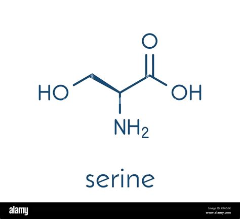 Serine amino acid molecule hi-res stock photography and images - Alamy