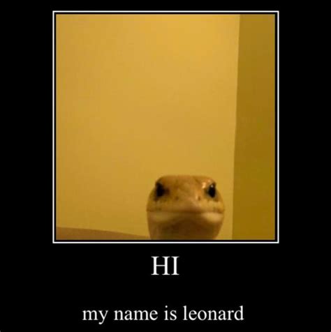 Lizard Meme Face - img-Baback