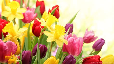 Spring Tulips Desktop Wallpapers - Wallpaper Cave