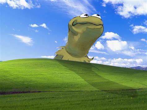 bliss windows xp kermit the frog microsoft windows the muppet show ...