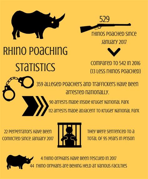 Rhino poaching declines - minister | Rekord