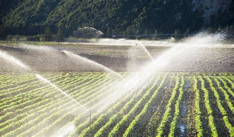 Modern irrigation methods in agriculture