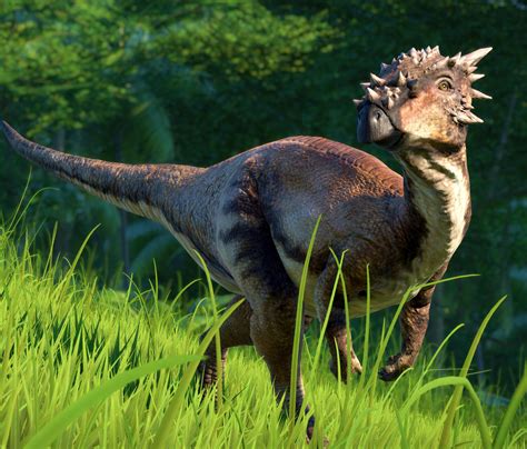 Dracorex | Jurassic World Evolution Wiki | FANDOM powered by Wikia