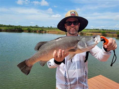 Barramundi: Info, Tips & Where To Catch