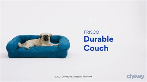 FRISCO Orthopedic Durable Couch Dog & Cat Bed, Teal, Large - Chewy.com