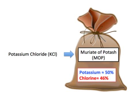 Potassium Chloride | Formula, Uses & Side Effects - Lesson | Study.com