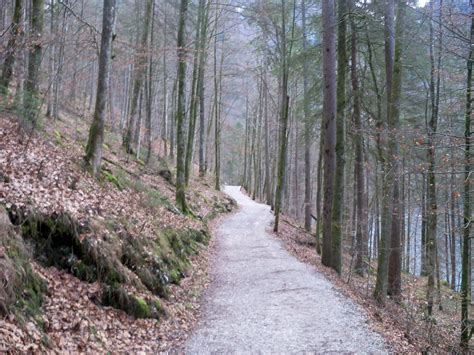 konigssee hiking trail | Felipe | Flickr