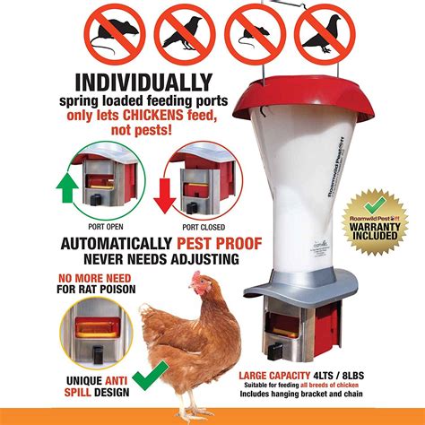 Roamwild Rat Proof Chicken Feeder kit - Rat Proof Poultry Feeder ...