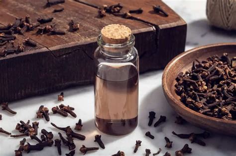 Does Boiling Clove Oil Remove Smell and Clean the Air? - Material ...