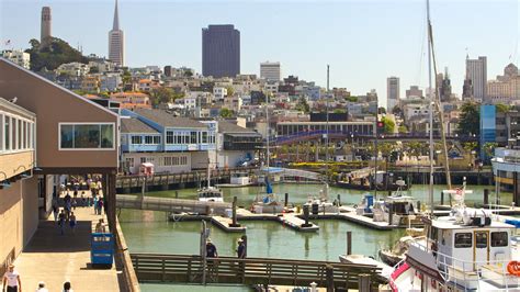 Pet Friendly Hotels in San Francisco Fisherman'S Wharf: 2163 Hotels for ...