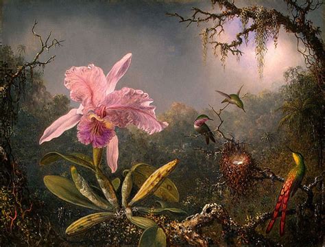 Martin Johnson Heade - Linda Hall Library