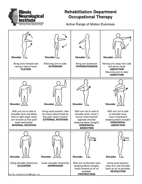 Printable Shoulder Impingement Exercises