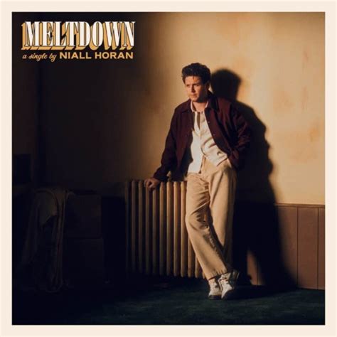 Niall Horan Drops New Song "Meltdown" Ahead Of Forthcoming New Album ...