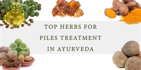 Best Ayurvedic Herbs and Medicine for Piles Treatment