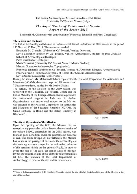 (PDF) Report Jebel Barkal 2019 | Italian Archaeological Mission in ...