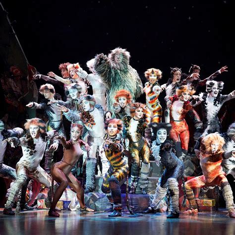 Cats Broadway Cast 2016 : Cats National Tour Breaks Show S Worldwide ...