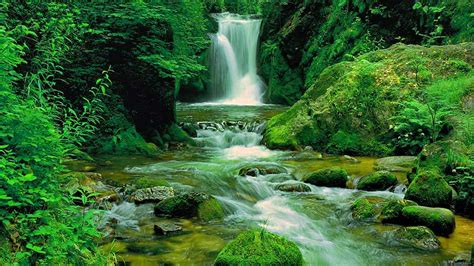 Waterfall Nature Wallpaper | Nature Wallpaper