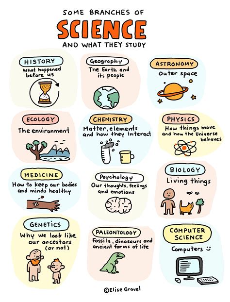 Different Branches of science: List, meanings | It Lesson Education