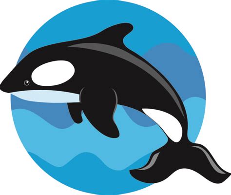 Orca killer whale clip art related keywords - WikiClipArt