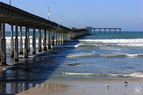 Ocean Beach Pier by LotusMikeArt on DeviantArt