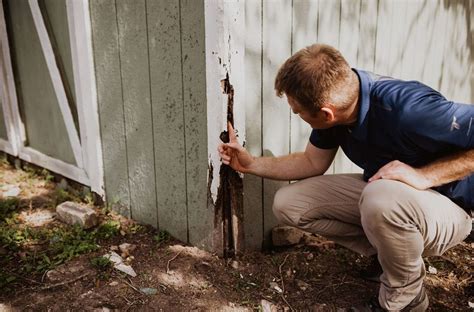 THE IMPORTANCE OF HAVING A TERMITE INSPECTION BEFORE PURCHASING A HOME ...