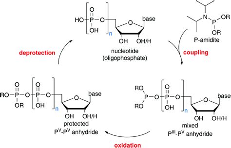 Phosphate esters and anhydrides – recent strategies targeting nature's ...