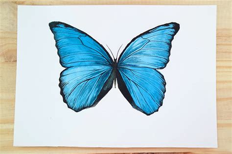 Easy Watercolor Paintings Of Butterflies