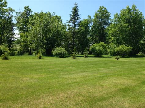 Peace Garden in the Forest