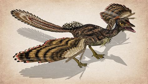 Did feathered dinosaurs exist? - creation.com