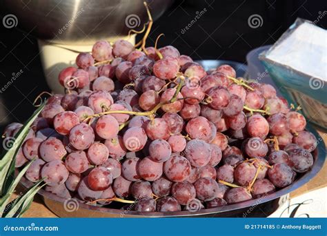 Red grapes stock image. Image of gourmet, cultivated - 21714185