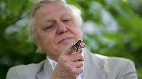 David Attenborough's Reddit AMA Is Guaranteed to Inspire You | The ...