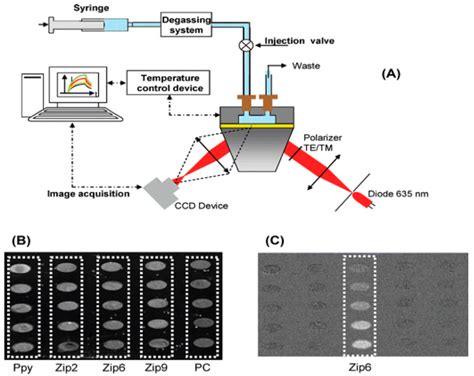 Sensors | Free Full-Text | SPR and SPR Imaging: Recent Trends in ...