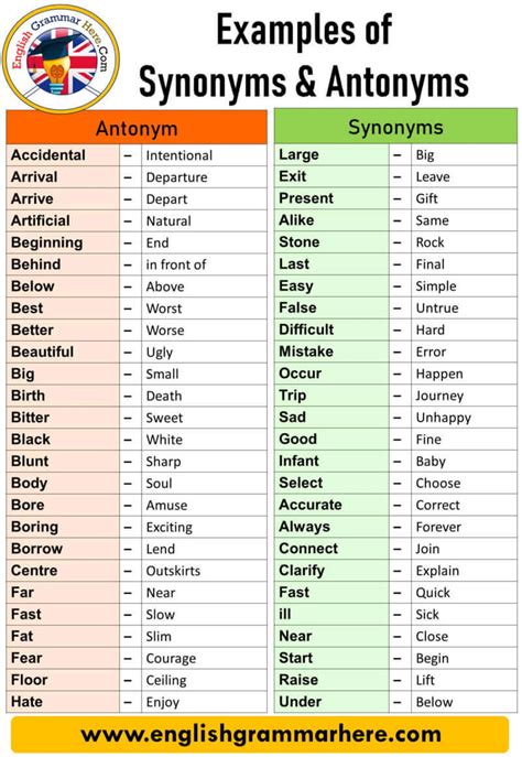 Synonym Floor Verb | Floor Roma