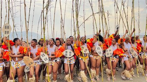 Umkhosi womhlanga 2022. The Zulu maidens reed dance at eNyokeni Royal ...