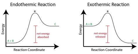 Endothermic vs Exothermic Reactions | ChemTalk