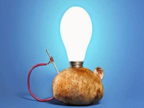 LED bulb with a potato can light for 40 days |Opinions And Reviews