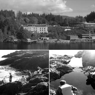 Bamfield Marine Sciences Centre and its activities. (pictures from the ...