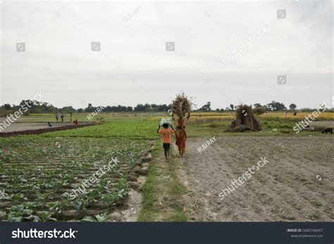 8,747 Poor Farmers India Images, Stock Photos & Vectors | Shutterstock