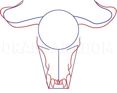 How To Draw A Longhorn Head Skull, Step by Step, Drawing Guide, by Dawn ...