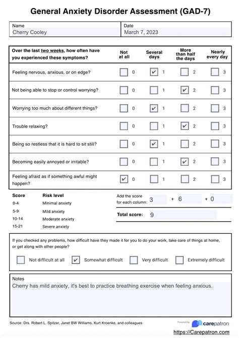 General Anxiety Disorder-7 (GAD-7) Assessment & Example | Free PDF Download