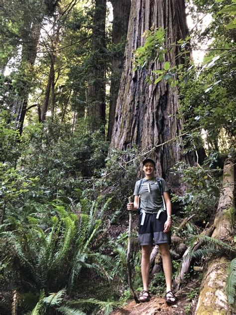 Here I am standing in front of Hyperion. The tallest tree in the world ...