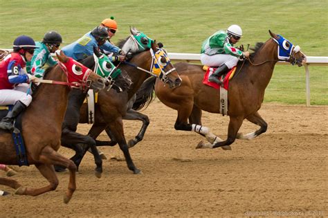 Tips for taking horse racing photos | DR Photos