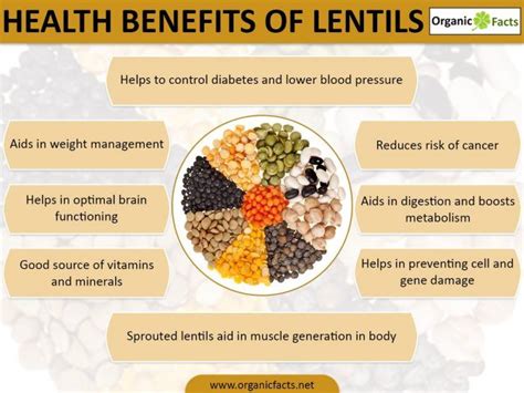 Health Benefits of Lentil Consumption - Epic Top 5! - EpicTop5 ...