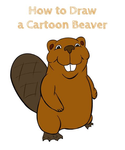 How to Draw a Cartoon Beaver - How to Draw Easy