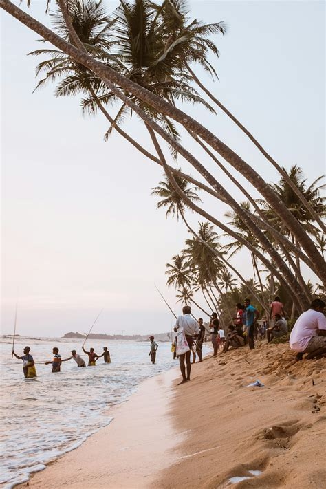 Sri Lanka Beach Pictures | Download Free Images on Unsplash