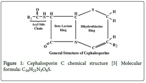 Cephalosporin C Production from Acremonium chrysogenum