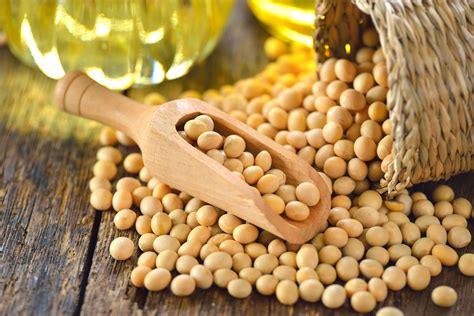 Benson Hill Announces Plans to Release Ultra-High Protein Soybean ...