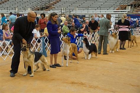 AKC All-Breed Dog Show Returns to Texarkana February 1st and 2nd